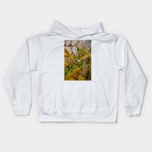 Autumn in Tzoumerka mountains Kids Hoodie